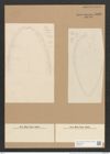Surirella guatimalensis Ehr. (de-Toni-Nr.: Genus 53, Species 2270) Zeichnungen Sammlung Grunow Nr. 4698 (NHMW-BOT-W0372781)